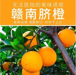 甜入心扉的贛南珍品——5斤江西贛州薄皮臍橙，品味正宗鮮甜的舌尖盛宴